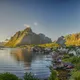 Reine