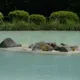 Beppu