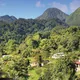 Dominique