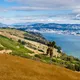 Dunedin, New zealand