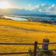 Jeju, Seogwipo, Corée du sud