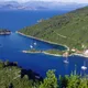 Mljet