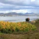Port stanley (iles falkland)