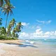Salvador bahia (brÉsil)