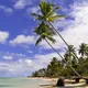 Samana, Dominican republic
