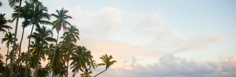 Caraïbes - Antilles