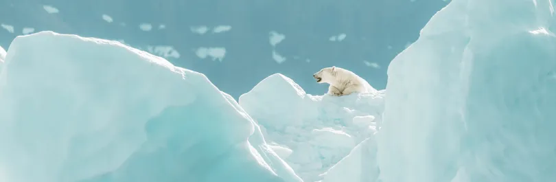 Destinations polaires