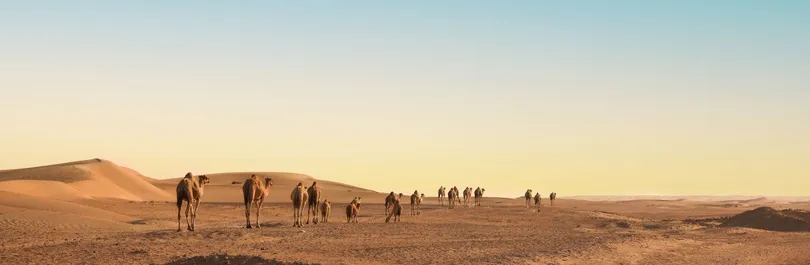 Croisière au Moyen Orient : Egypte, Jordanie, Israël, Dubaï
