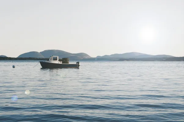 Bar Harbor