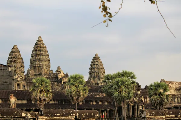 Siem Reap