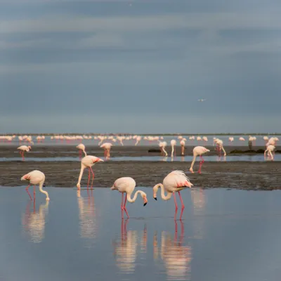 Walvis Bay