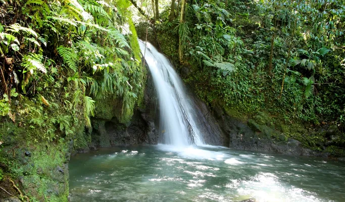 Port basse-terre guadeloupe