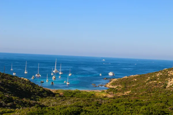 Calvi