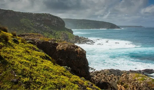 Ile Kangourou