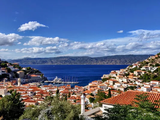 Hydra
