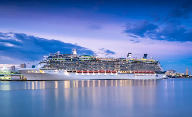 Celebrity Reflection