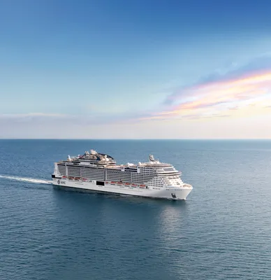 msc bellissima
