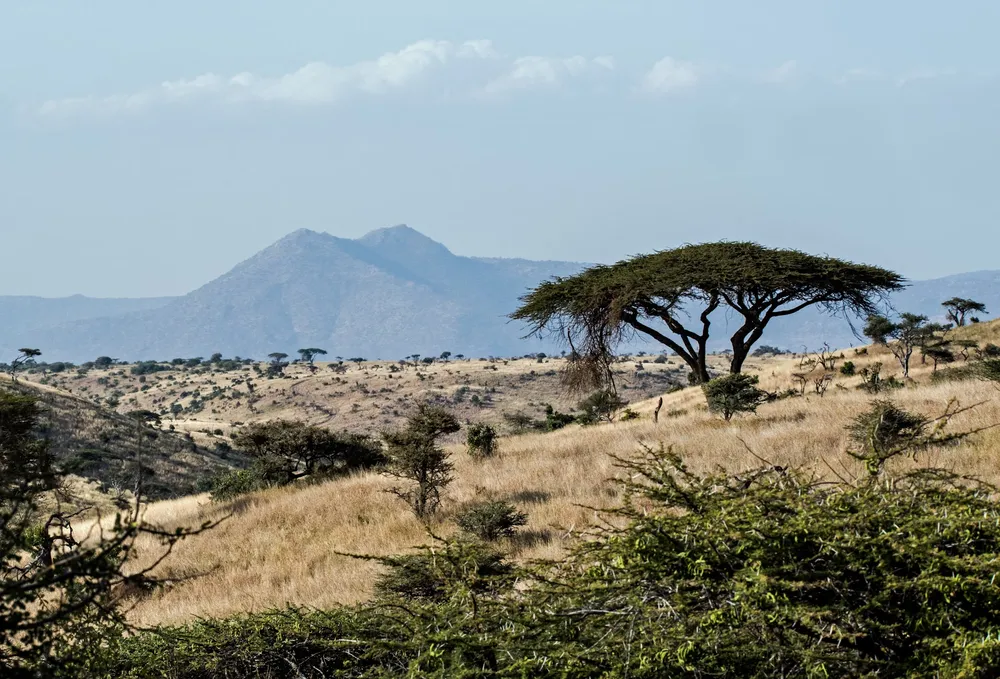 Afrique