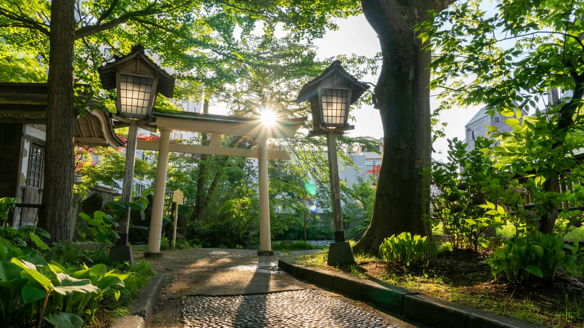 Aomori