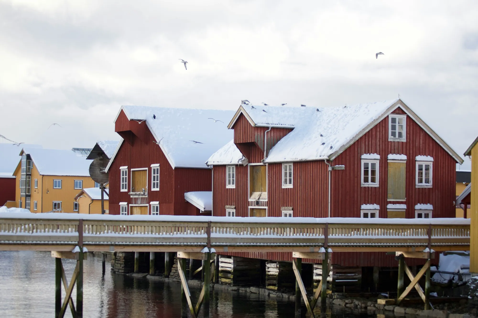 Rorvik