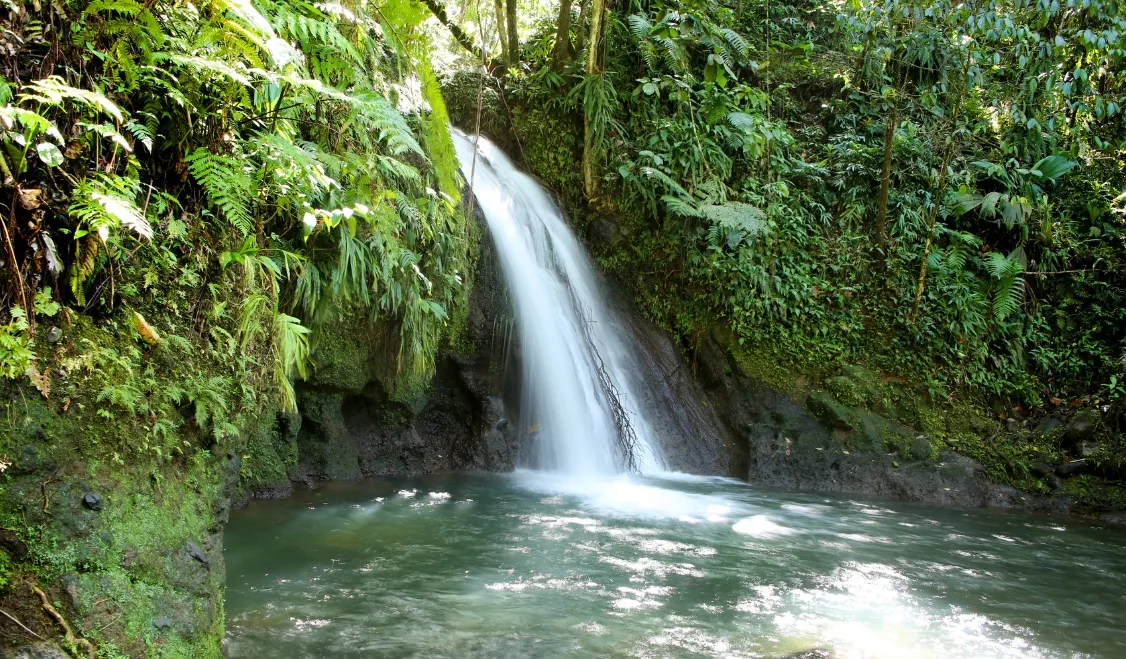 Port basse-terre guadeloupe