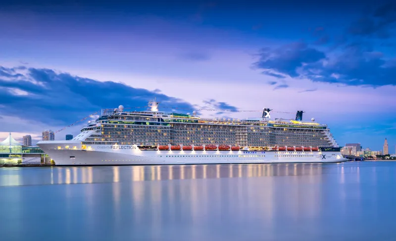 Celebrity Reflection