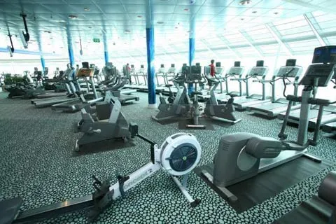 Liberty of the Seas