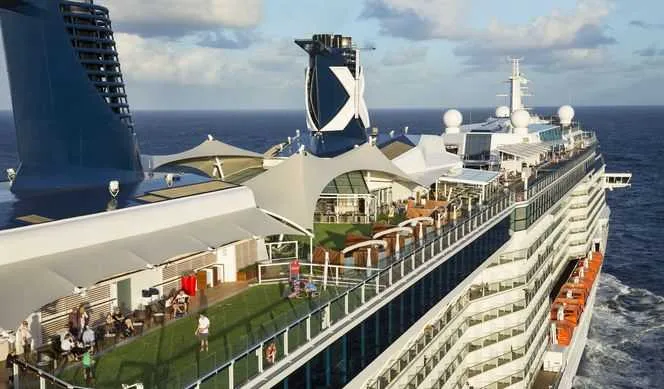 Celebrity Reflection