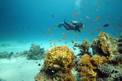 Sharm el sheikh