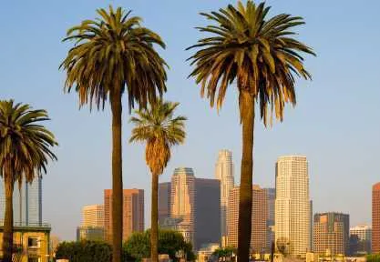 Los angeles