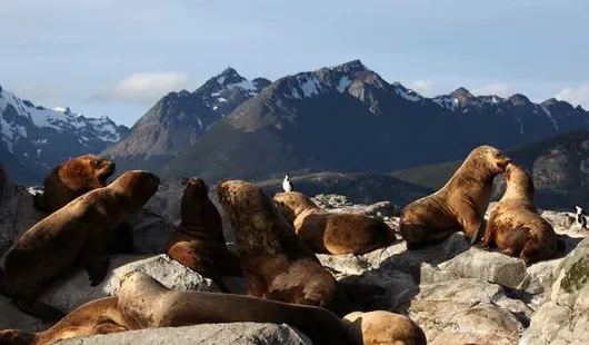 Cap Horn