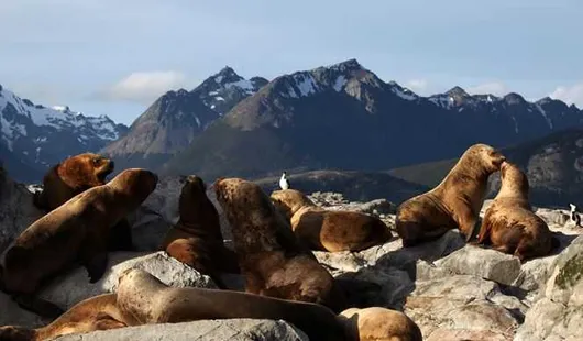 Cape horn, Chili