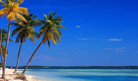 Perfect day cococay -  bahamas
