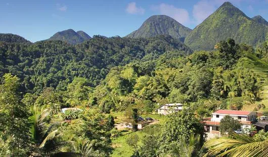 Dominica                      