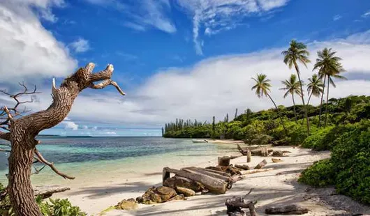 Isle of pines