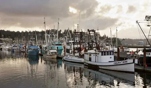 Newport