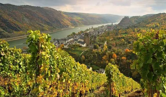 Oberwesel