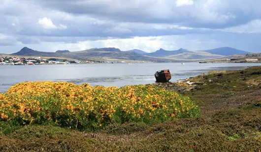 Port stanley, Îles malouines