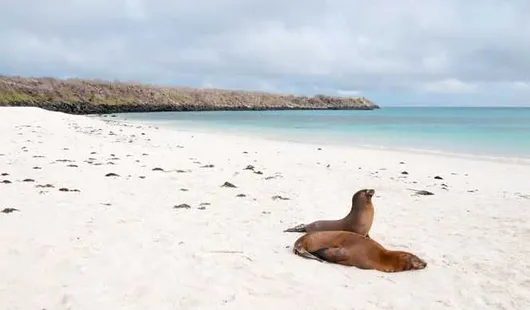 Îles Galápagos