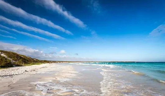 Île Santa Cruz