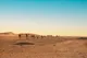 Croisière au Moyen Orient : Egypte, Jordanie, Israël, Dubaï