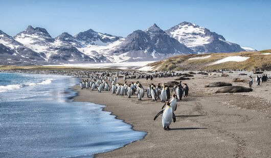 Les paysages à découvrir lors d’une croisière Antarctique