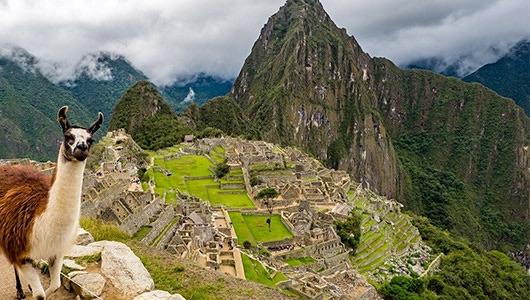 Découvrez le Machu Picchu lors d'une croisière Amérique du Sud